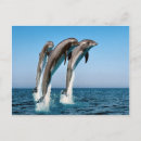 Suche nach springender delphin poster Meer