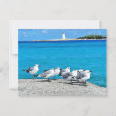 Suche nach nassau postkarten Leuchtturm