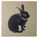 Suche nach kaninchen fliesen Tier