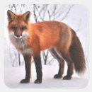 Suche nach fuchs im schnee aufkleber Tiere