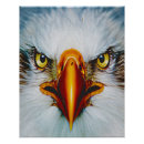 Suche nach schnabel poster Tier