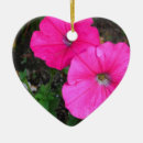 Suche nach wind ornamente Liebe