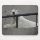 Suche nach eisbären mousepads Polar