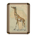 Suche nach afrikanische magnete Giraffe