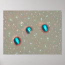 Suche nach bubble bath poster Bubbles