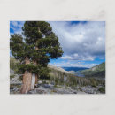 Suche nach wacholder poster Blau