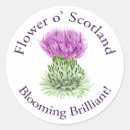 Suche nach scottish thistle aufkleber Lila