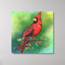 Suche nach grüner vogel leinwandbilder Aquarell