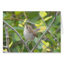 Suche nach zaunkönige postkarten Natur