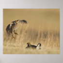 Suche nach loup poster Kalamus