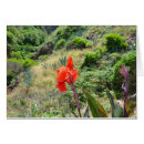 Suche nach schuss karten Lilien