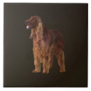 Suche nach irish fliesen Hund