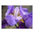 Suche nach mutter natur poster Zuhause
