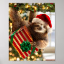 Suche nach sloth poster Tier