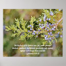 Suche nach früchte andere poster Glaube