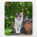 Suche nach katzen mousepads Baum