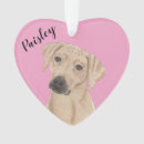Suche nach rhodesian ridgeback ornamente Weihnachten