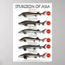 Suche nach lustige frauen poster Männer