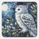 Suche nach abstrakte eule aufkleber Vogelvogel