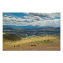 Suche nach carson poster Pferde