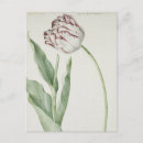 Suche nach vintage tulpen postkarten Elegant