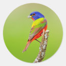 Suche nach männchen aufkleber Grün