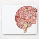 Suche nach menschliches gehirn mousepads Körper