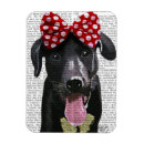 Suche nach bogen magnete Labrador