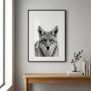 Suche nach werden sie kojote poster Aquarell