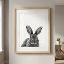 Suche nach kaninchen poster Druck