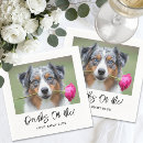 Suche nach gehen der hund Für sie/ihn