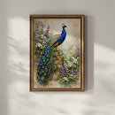 Suche nach eleganter vogel poster Botanisch