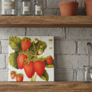 Suche nach vintage erdbeeren fliesen Sommer