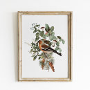 Suche nach pilze poster Natur
