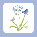 Suche nach afrikanische lilie aufkleber Botanisch