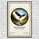 Suche nach beute poster Raubvogel