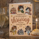 Suche nach bunte katzen karten Süß