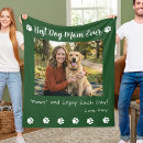 Suche nach tier haustier wohnen zuhause Tierliebhaber
