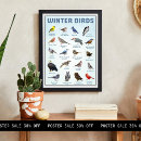 Suche nach wintervögel poster Schneevögel