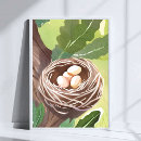 Suche nach vogelnest poster Aquarell