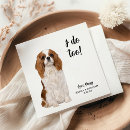 Suche nach cocker spaniel foto Modern
