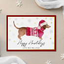 Suche nach roter hund Dachshund