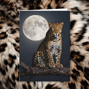 Suche nach leopard karten Wildtiere
