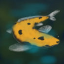 Suche nach gold koi Karpfen