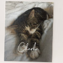 Suche nach haustier puzzle Modern