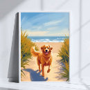 Suche nach strandweg poster Ozean