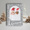 Suche nach fotoweihnachtskarten Elegant