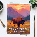 Suche nach bison vertikale postkarten Tier
