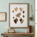 Suche nach schnecken poster Mollusken