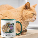 Suche nach orange tabby tassen Orangefarbene tafel